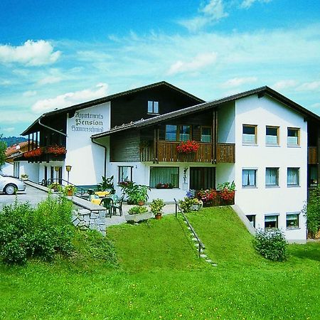 Appartements Pension Hammerschmied Lam Exterior photo