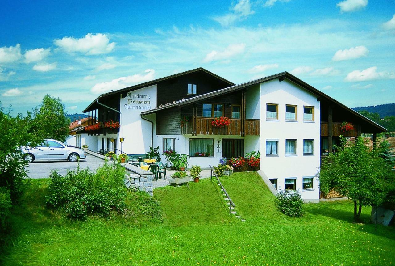 Appartements Pension Hammerschmied Lam Exterior photo